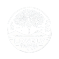 Lovely Travel | Custom Luxury Travel Packages to Morocco